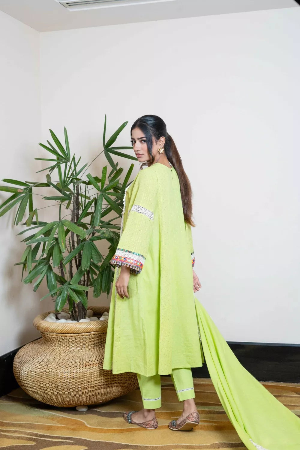 jashna green suit set
